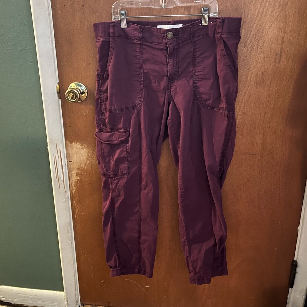 Sonoma cargo pants cranberry color